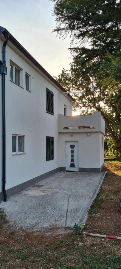 Apartment Brigitte Vrsi Dış mekan fotoğraf