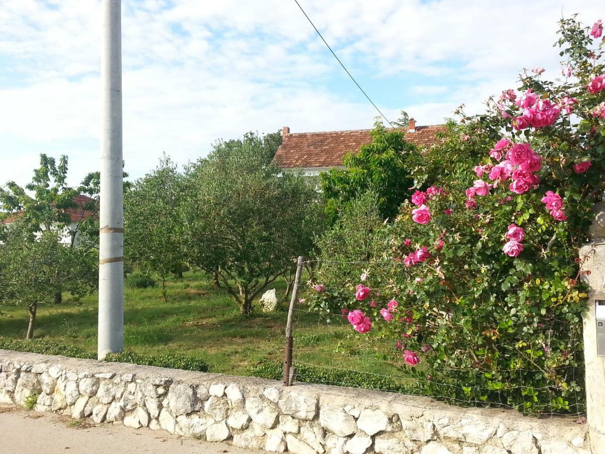 Apartment Brigitte Vrsi Dış mekan fotoğraf