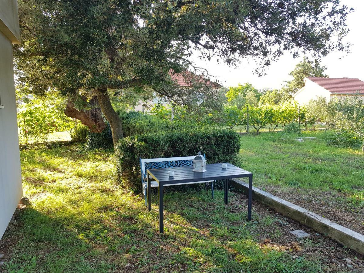 Apartment Brigitte Vrsi Dış mekan fotoğraf