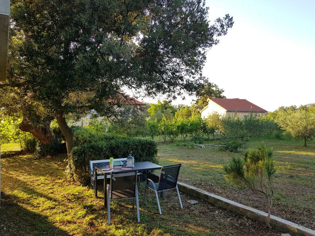 Apartment Brigitte Vrsi Dış mekan fotoğraf