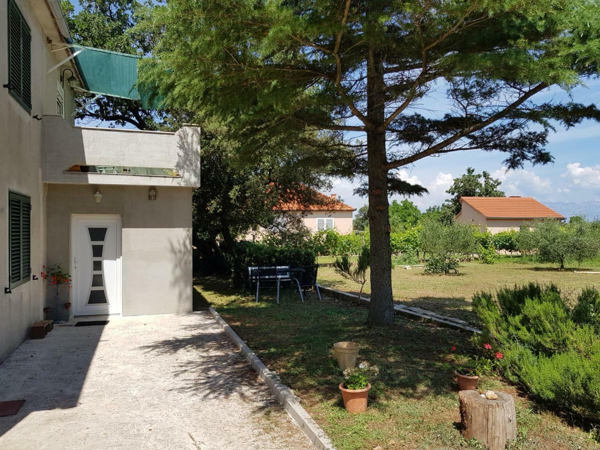 Apartment Brigitte Vrsi Dış mekan fotoğraf