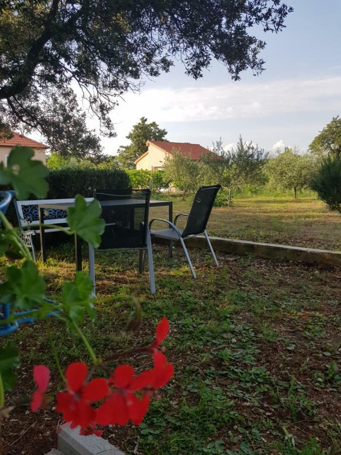 Apartment Brigitte Vrsi Dış mekan fotoğraf