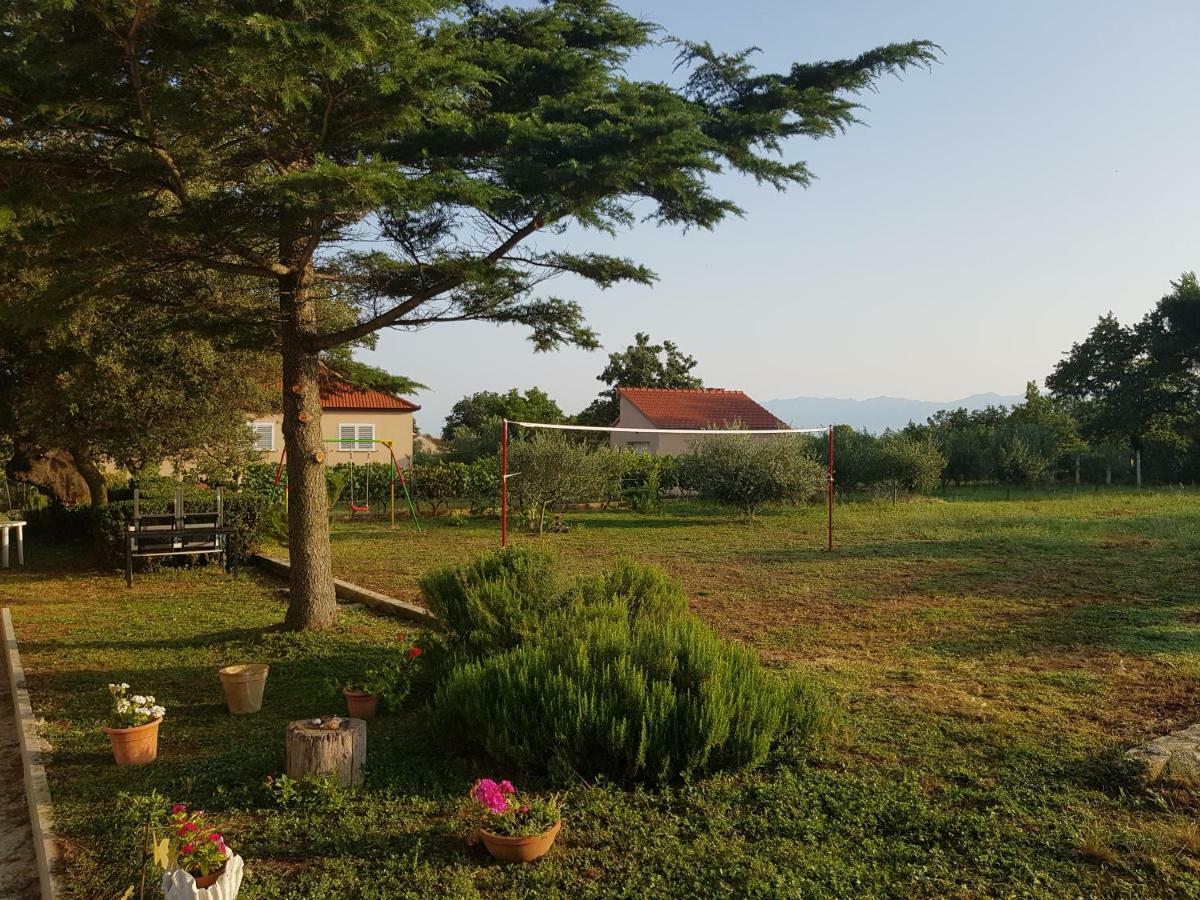 Apartment Brigitte Vrsi Dış mekan fotoğraf