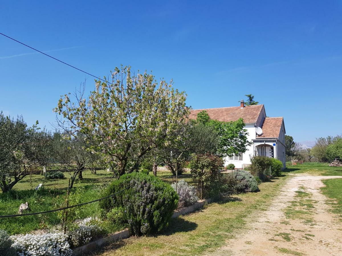 Apartment Brigitte Vrsi Dış mekan fotoğraf